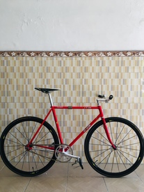 Samson Chilly Red NJS