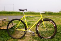 SAMSON Elaborate NJS photo