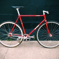 Samson NJS 55cm photo