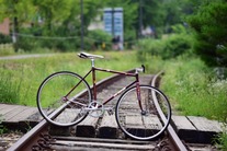 SAMSON NJS Black&red fade flake Max fork photo