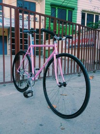 Samson NJS Pinky Pearl