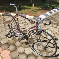 Samson NJS Red Candy Chrome fades photo