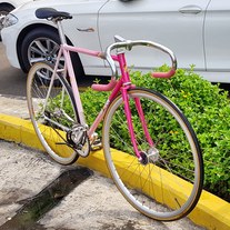 Samson NJS Sakura Pink white fade