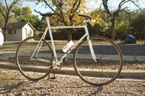 Samson sparsely sparkley cream NJS