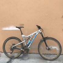 Santa Cruz Bronson