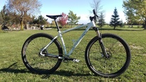 Santa Cruz Highball 29