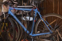 Santa Cruz Stigmata (28th)