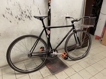 Santafixie Born photo