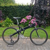 S'Bike Daytona photo