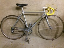 SCAPIN