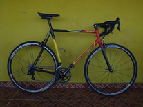 Scapin Eos Foco Columbus