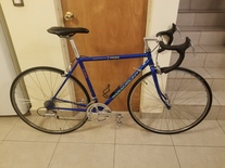 1993 SCHWINN PARAMOUNT SERIES 3 PDG