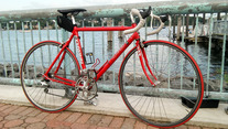 Schwinn 564 1989 photo