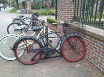 Schwinn cruiser photo