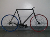 Schwinn Fixed Conversion photo