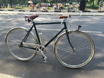 schwinn madison conversion