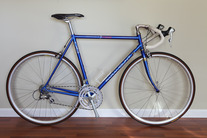 Schwinn Paramount Series 3 PDG