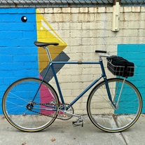 Schwinn Paramount Track photo