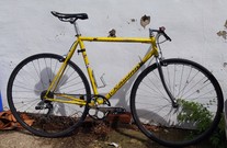 Schwinn Peloton