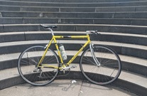 Schwinn Peloton