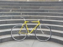 Schwinn Peloton