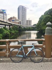 Schwinn Madison photo