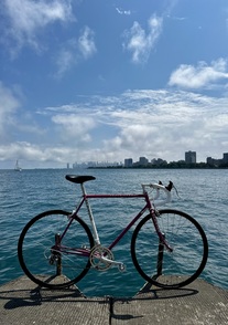 Schwinn Super Sport