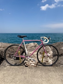 Schwinn Super Sport