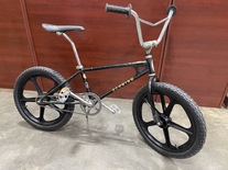 Schwinn Thrasher