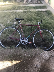 schwinn traveler 1983 ratbike photo