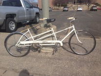 Schwinn Vista Duo rescue