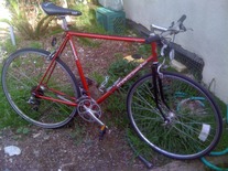 Schwinn World Lite photo