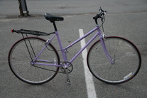 Schwinn World Sport conversion photo