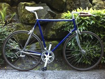 1988 Schwinn Circuit