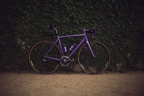 Scott Addict Custom Princecycling ed. photo