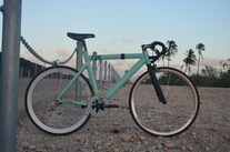 Seafoam Green Leader 725 2011