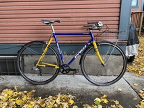 Serotta Classique