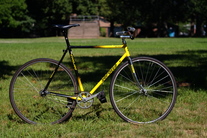 Serotta Davis Phinney Fixed Gear photo