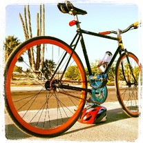 Shogun Fixed Gear