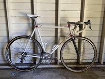 Shred Litton 1989