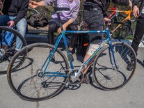 Siberian Gitane Pista (for sale) photo