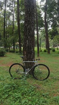 Silver Glitter Bridgestone NJS photo