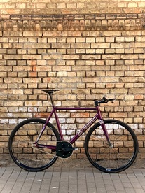 Skream magnum 2024
