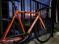 skream Magnum Orange 2020 photo