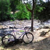 Snyder Cycles Purple People Eater