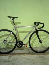 soloist 71