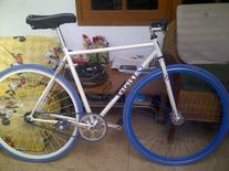 soloist standartd