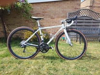 Soma Smoothie (RIM) photo Soma Smoothie (RIM) photo