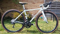 Soma Smoothie (RIM)