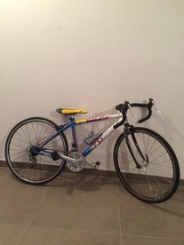 Son's race bike